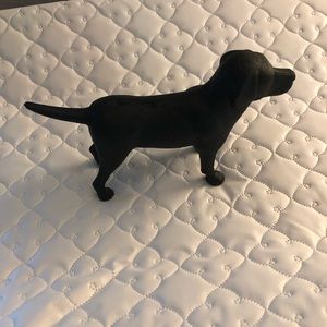 🌻cast iron retriever🌻